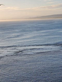 20220113_072707.jpg
