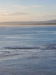 20220113_072759.jpg