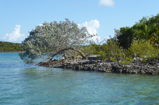 P1110485.JPG