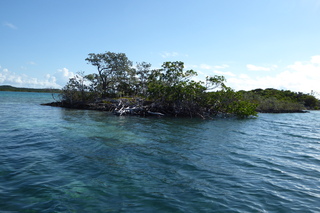 P1110491.JPG