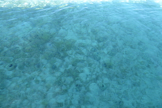 P1110494.JPG