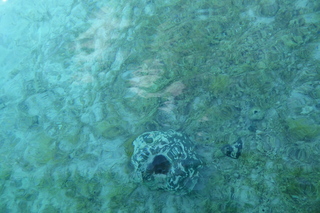 P1110495.JPG