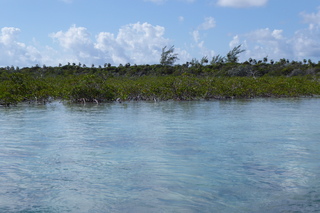 P1110511.JPG