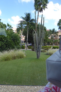 P1110523.JPG
