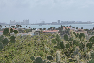P1110534.JPG