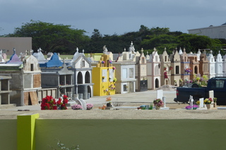 P1110555.JPG
