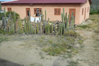 P1110556.JPG