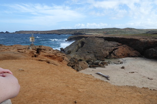 P1110565.JPG