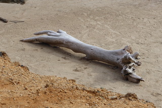 P1110567.JPG