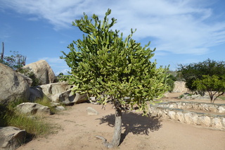 P1110573.JPG