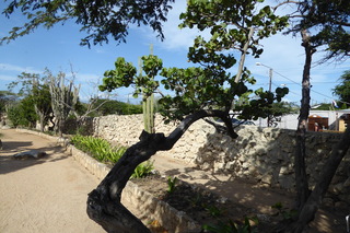 P1110575.JPG