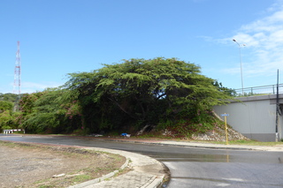 P1110615.JPG