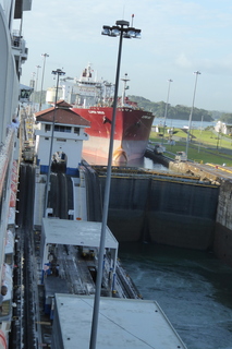 P1110733.JPG