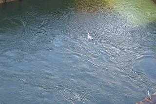 P1110743.JPG