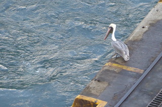 P1110744.JPG