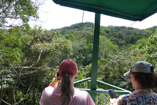 P1110765.JPG