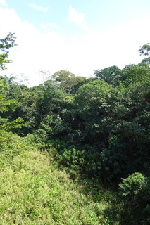 P1110767.JPG