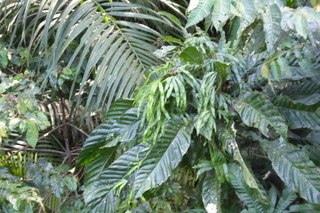 P1110774.JPG