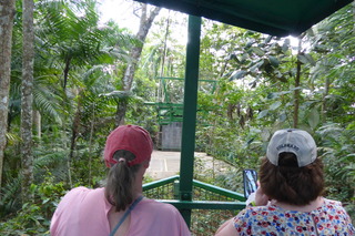 P1110785.JPG