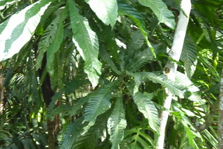 P1110791.JPG
