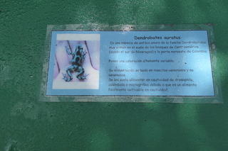 P1110800.JPG