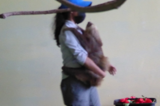 P1110810.JPG