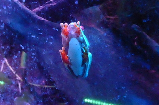 P1110834.JPG