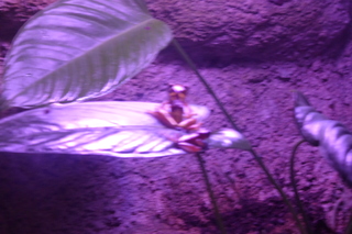 P1110837.JPG