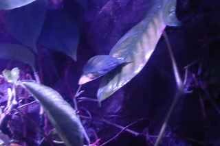 P1110842.JPG