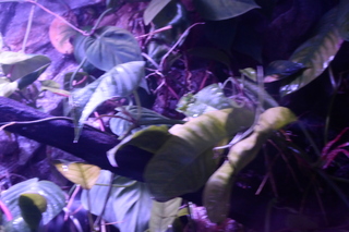 P1110844.JPG
