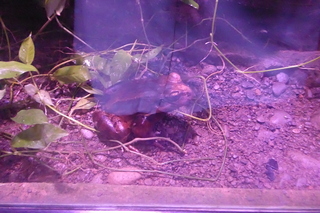 P1110846.JPG