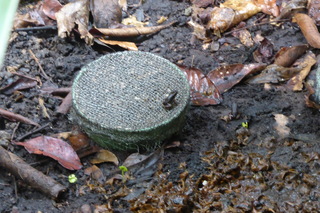 P1110847.JPG