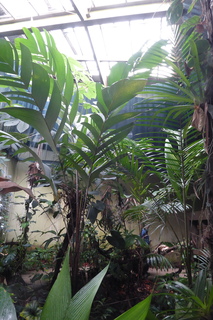 P1110849.JPG