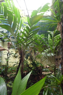 P1110850.JPG