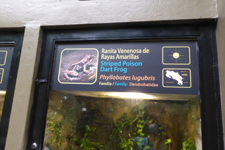 P1110851.JPG
