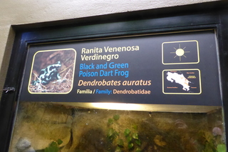 P1110853.JPG