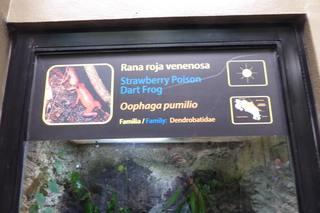 P1110854.JPG