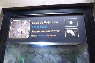 P1110855.JPG