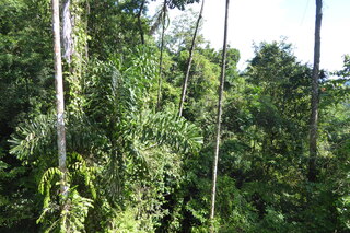 P1110883.JPG