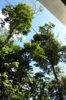 P1110889.JPG