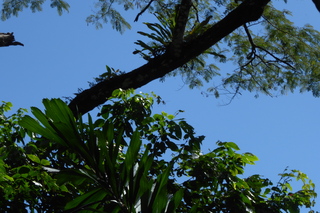 P1110891.JPG
