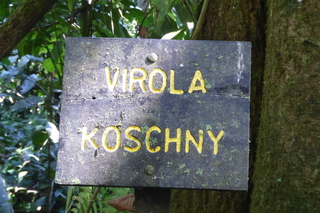 P1110917.JPG