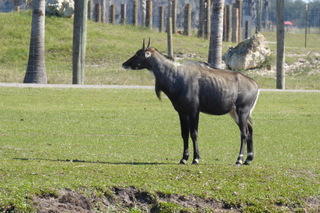 P1110989.JPG