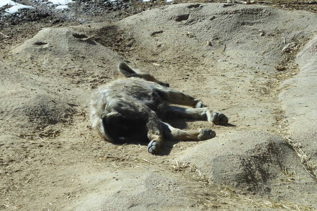 P1120300.JPG