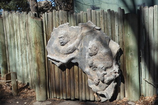 P1120320.JPG