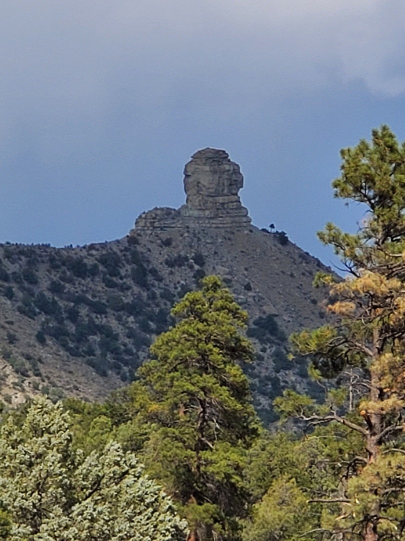 20200922_151512.jpg