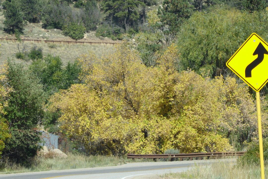 P1090025.JPG