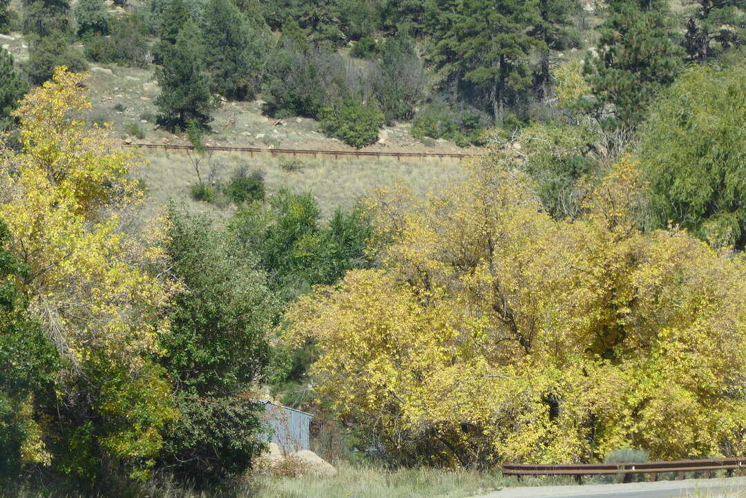 P1090026.JPG