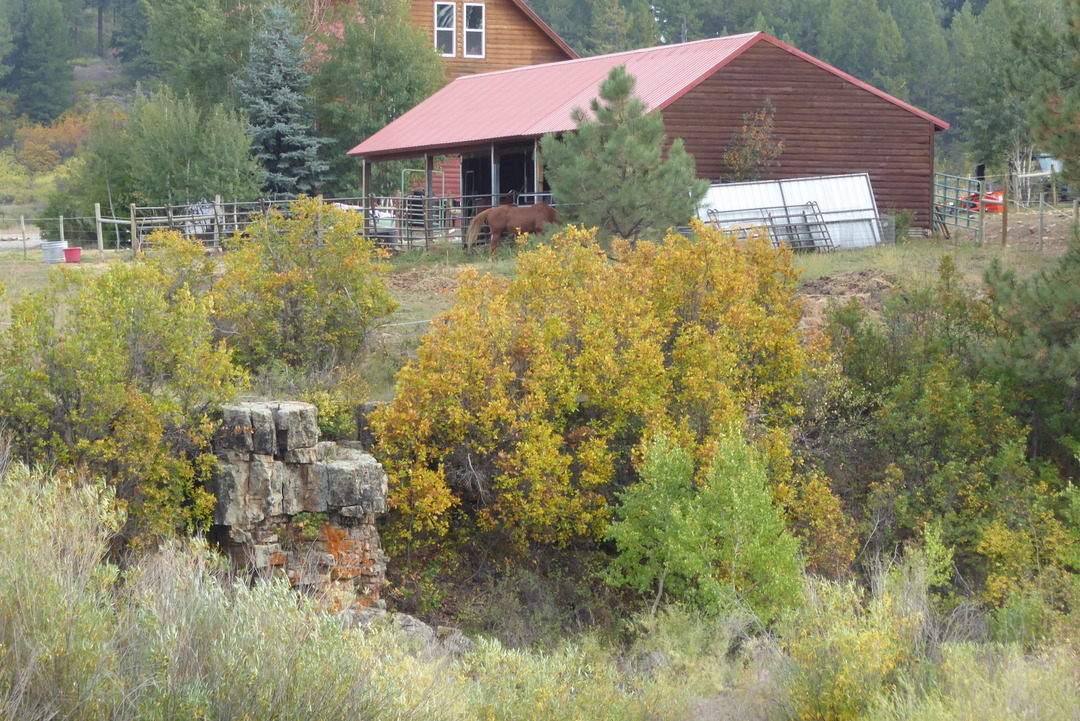 P1090059.JPG