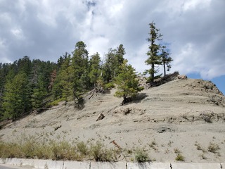 20200920_141829.jpg
